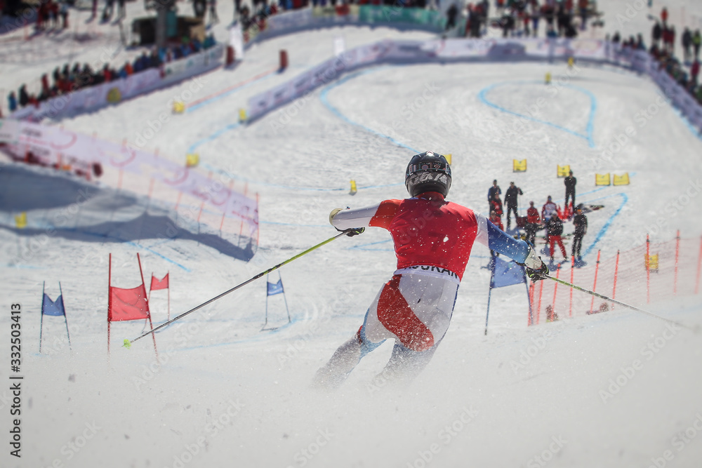 Telemark skier competing in downhill race, seen from the back while rushing towards the finish line