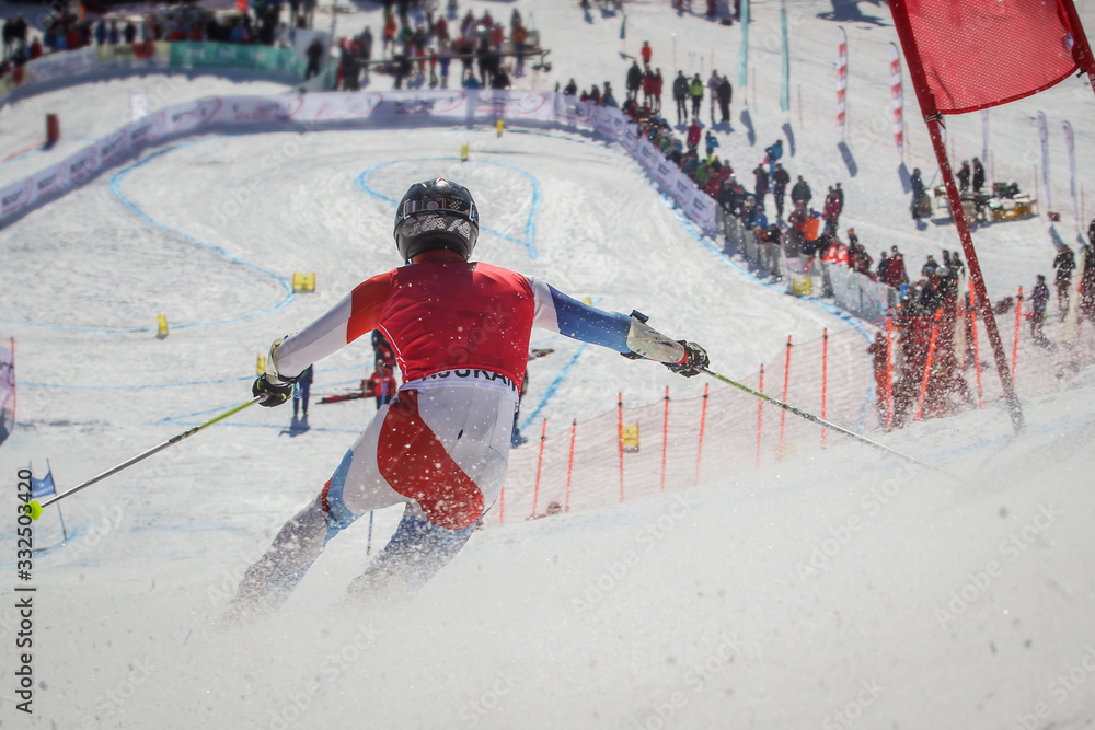 Telemark skier competing in downhill race, seen from the back while rushing towards the finish line