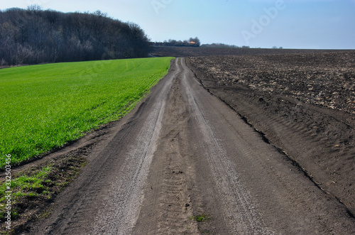  dirt road, field road, one green field another prepared for sowing
