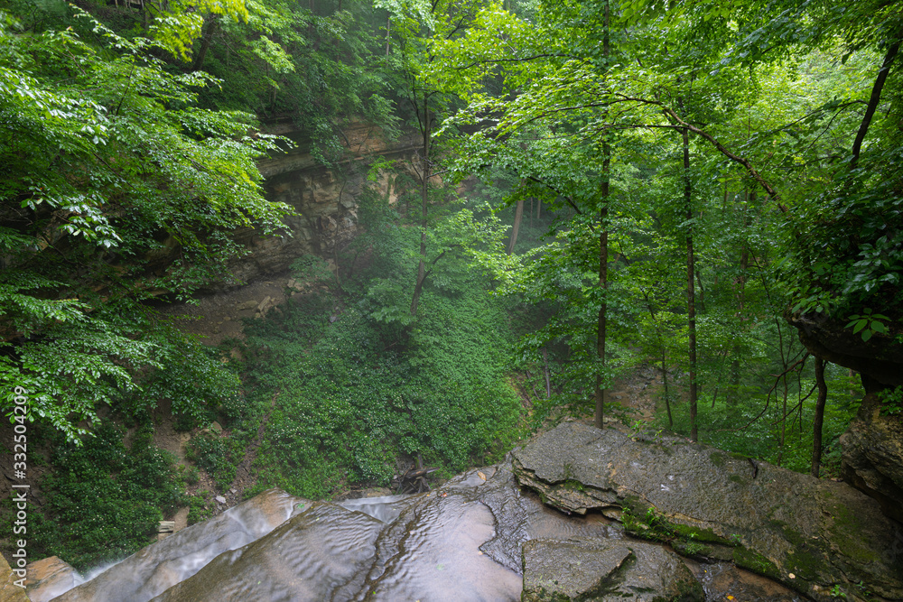 Fototapeta premium Indiana Nature
