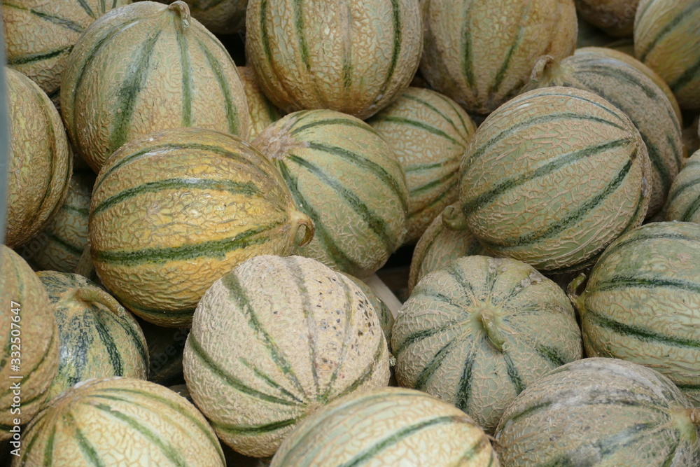Charentais-Melone auf einem Haufen