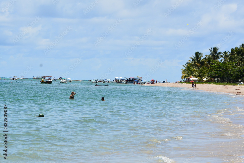 Obraz premium carneiros - pernambuco 