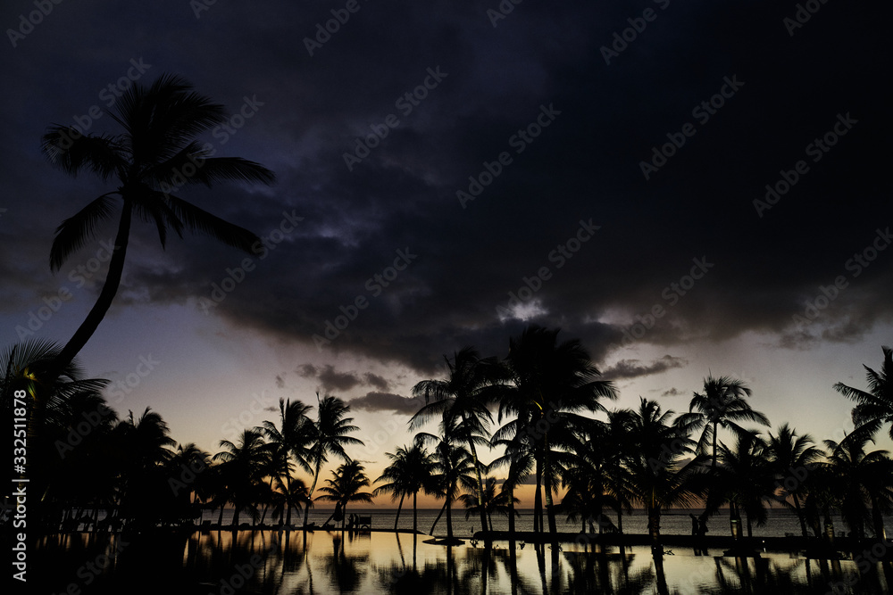 Palmen Mauritius