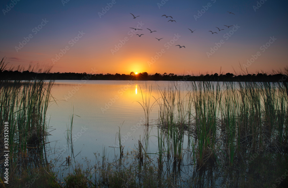 Sunset at the Indrio Preserve, Fort Pierce, Florida.