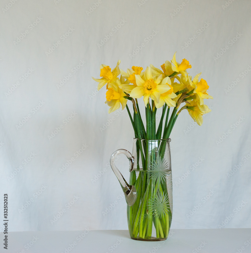Yellow daffodils in a vase on a white background