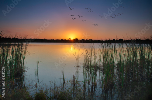 Sunset at the Indrio Preserve  Fort Pierce  Florida.