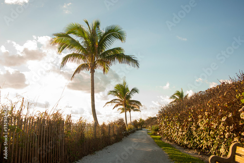 Sunset in Jupiter Florida in the Summer photo