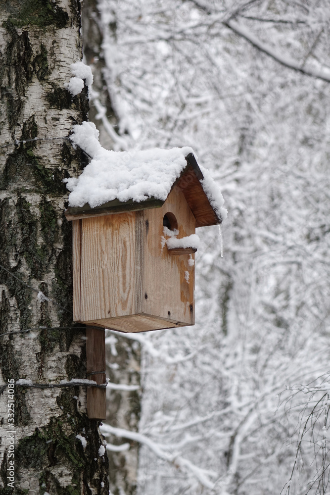 birdhouse in the winter forest