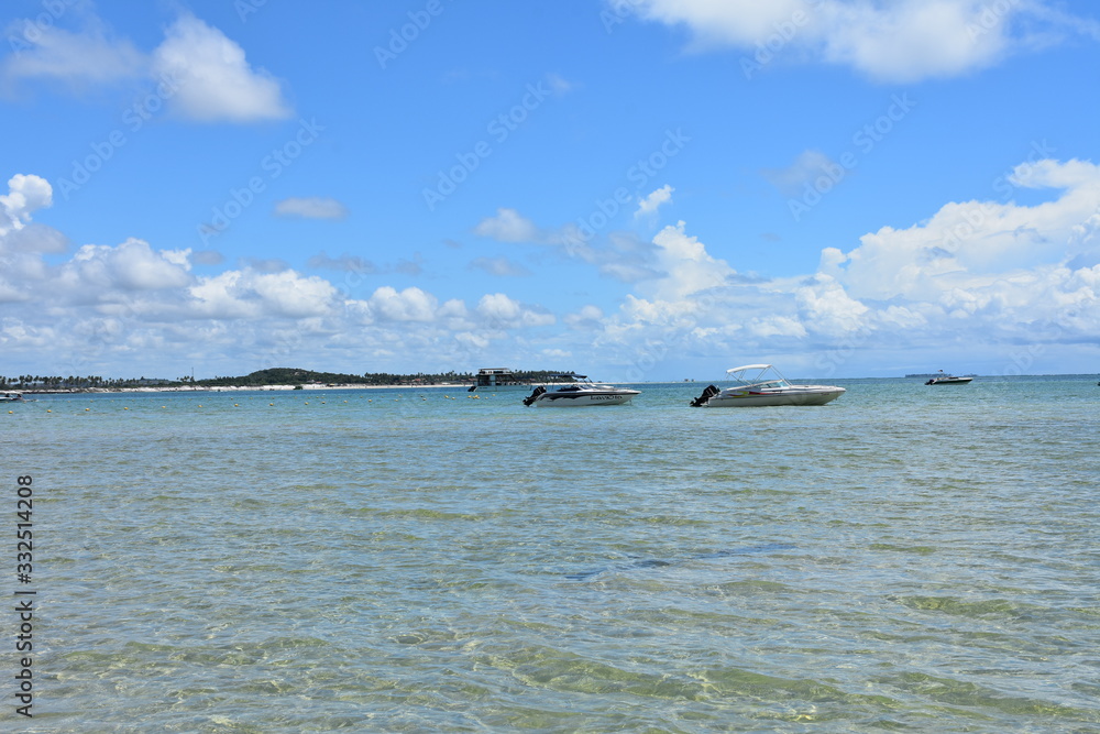 Fototapeta premium carneiros - pernambuco