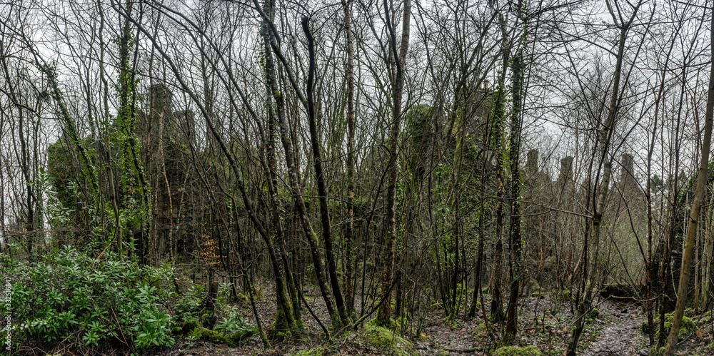 Fototapeta premium Old mystical ruins hidden in a bush panorama