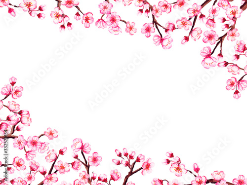 Watercolor floral sakura frame. Spring cherry blossom border  isolated on white.