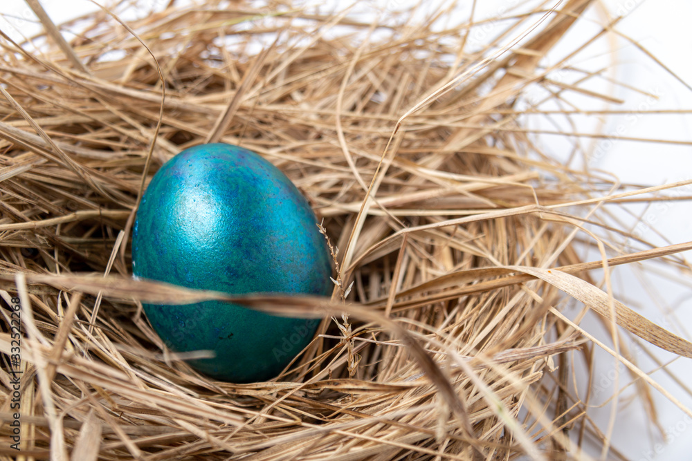 Colorful blue easter egg in nest. Easter eggs concept Colorful blue easter egg in nest. Easter eggs concept