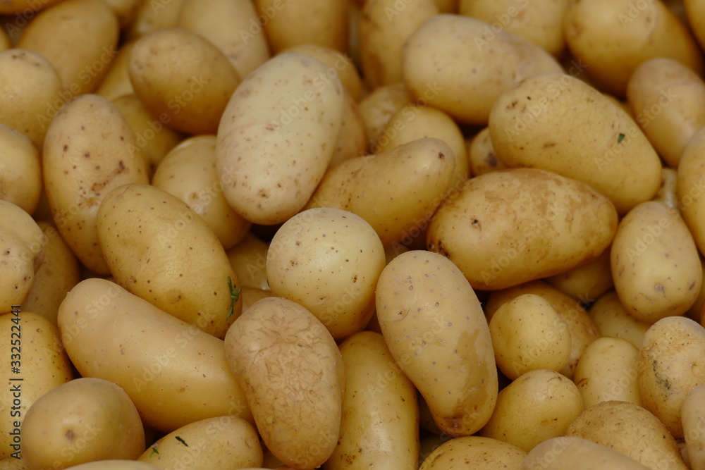 Kartoffeln mit hellbrauner Schale Kartoffeln mit hellbrauner Schale