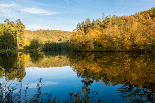 Autumn forest reflecting on the surface of the lake