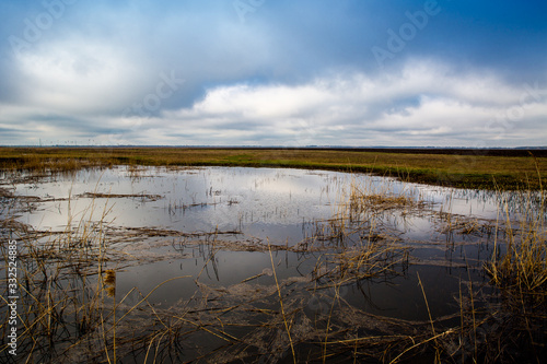 flooded spring meadow