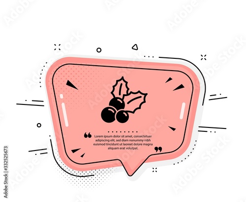 Christmas holly icon. Quote speech bubble. Ilex aquifolium sign. Quotation marks. Classic christmas holly icon. Vector