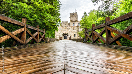 castle Strecno photographed from wooden bridge, low view photo