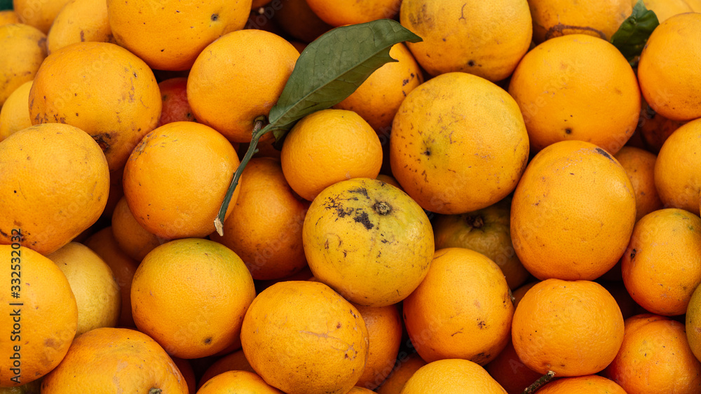 Close up of ripe raw oranges