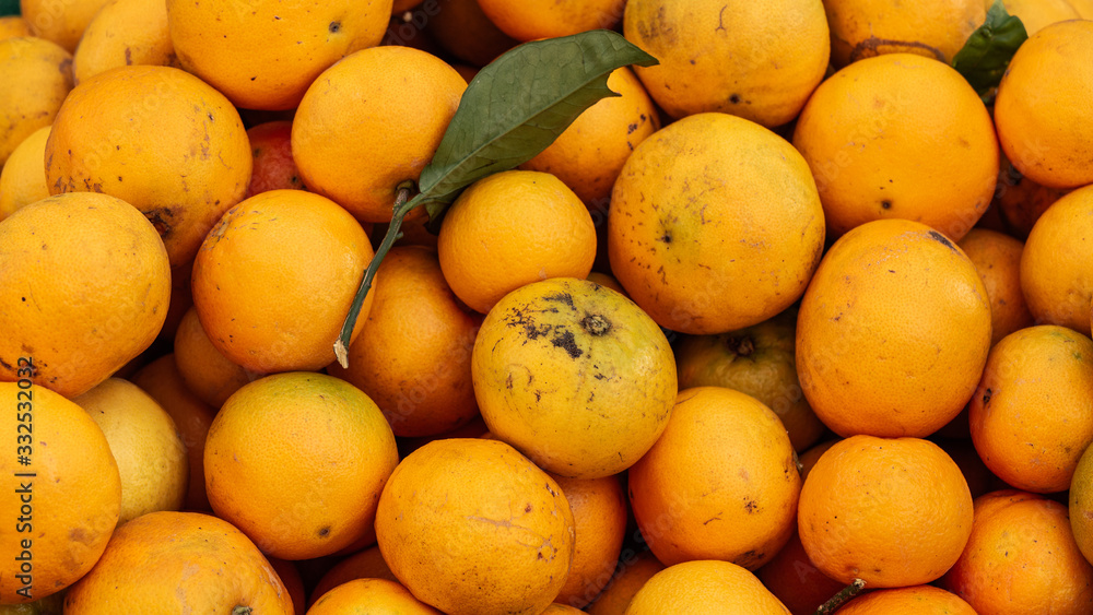 Close up of ripe raw oranges Close up of ripe raw oranges