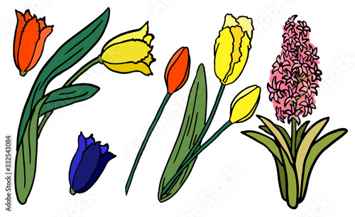 hyacinth and tulip on white isolated backdrop. Petal flower sticker set for invitation or gift card, pillowcase or bath tile. Phone case or cloth print art. Hand drawn style stock vector illustration