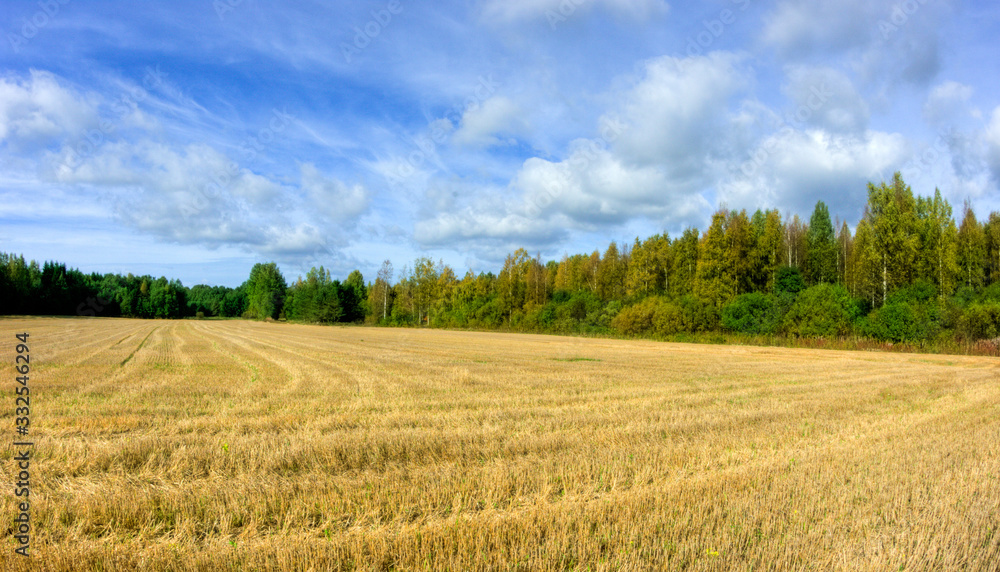 field and blue sky