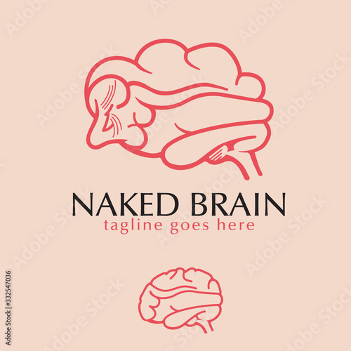 Naked Sexy Brain logo