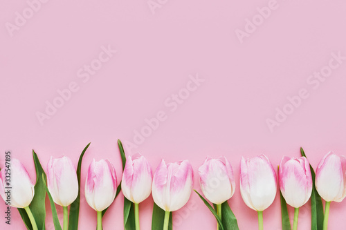 Fototapeta Naklejka Na Ścianę i Meble -  Pink tulips border on pink background. Mothers day, Valentines Day, Birthday celebration concept. Copy space, top view