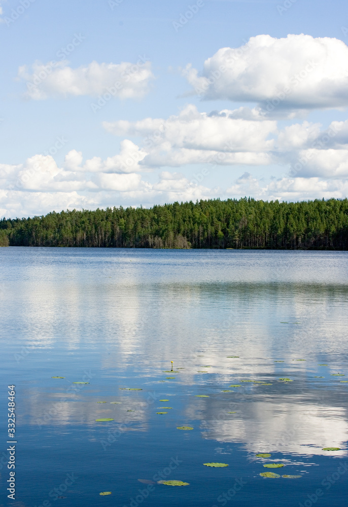 lake in forest