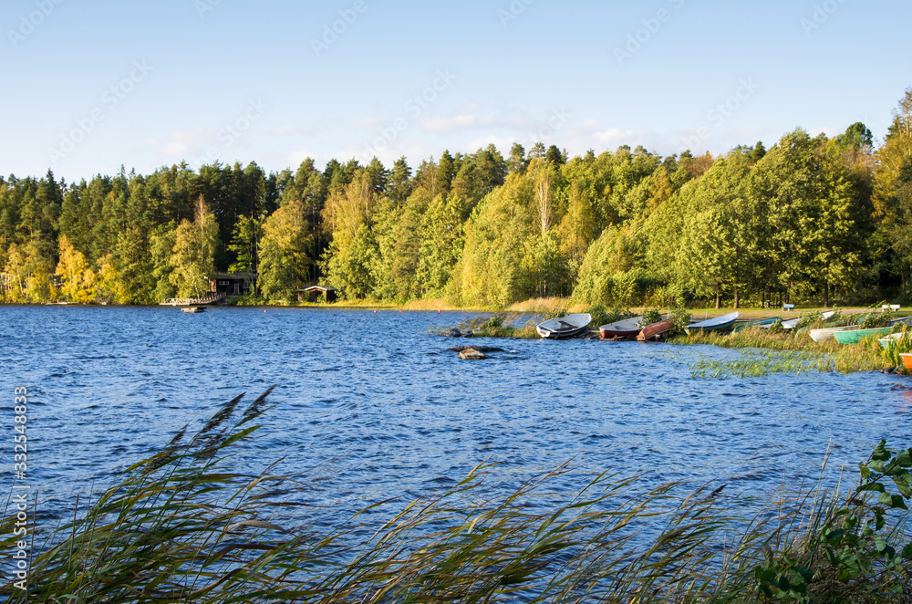 lake in forest