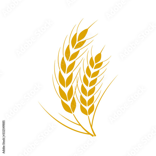 Set of simple wheats ears icons and wheat logo design elements for beer, organic fresh food corn farm, bakery themed agriculture design, grain element, wheat simple pattern. Vector illustration