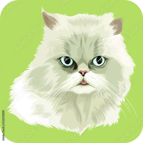 white cat with long fur vector cartoon perfect for pet lover or pet business