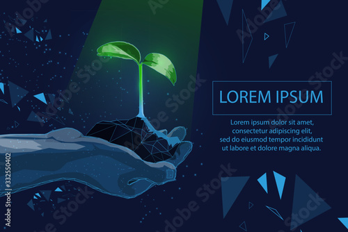 Plant sprout ecological abstract concept.  seedling tree leaves. Save planet nature environment grow life eco polygon triangles low poly illustration