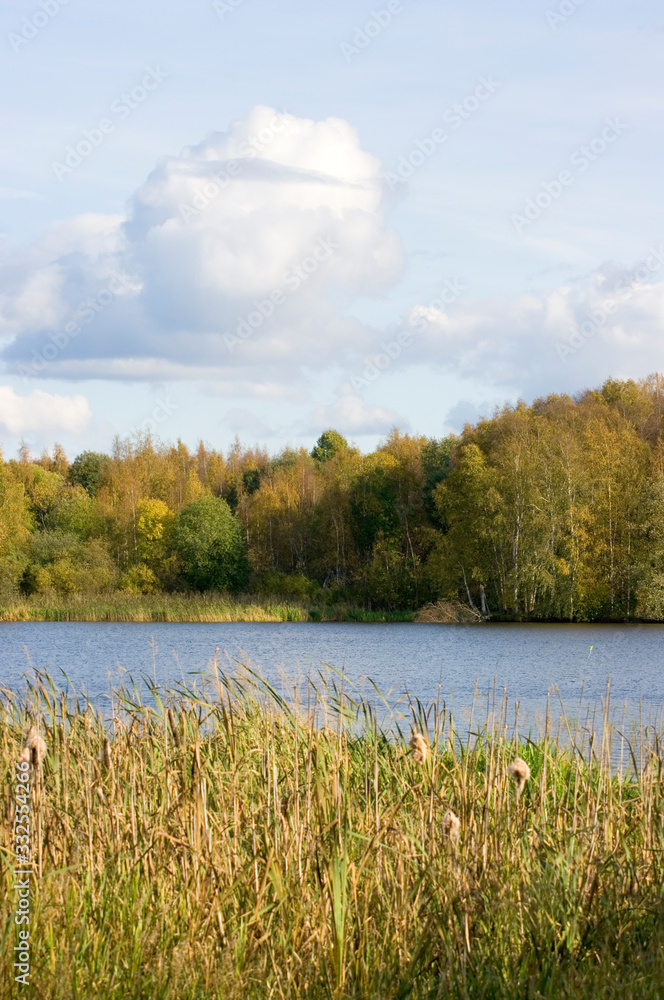 Fototapeta premium autumn colors