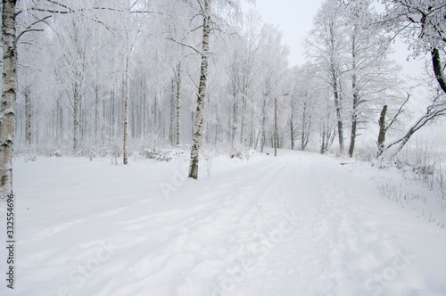 road in winter forest © Markus Kauppinen