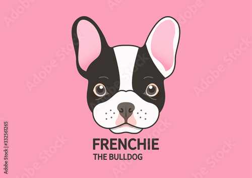 Cute puppy french bulldog face on pink background. 