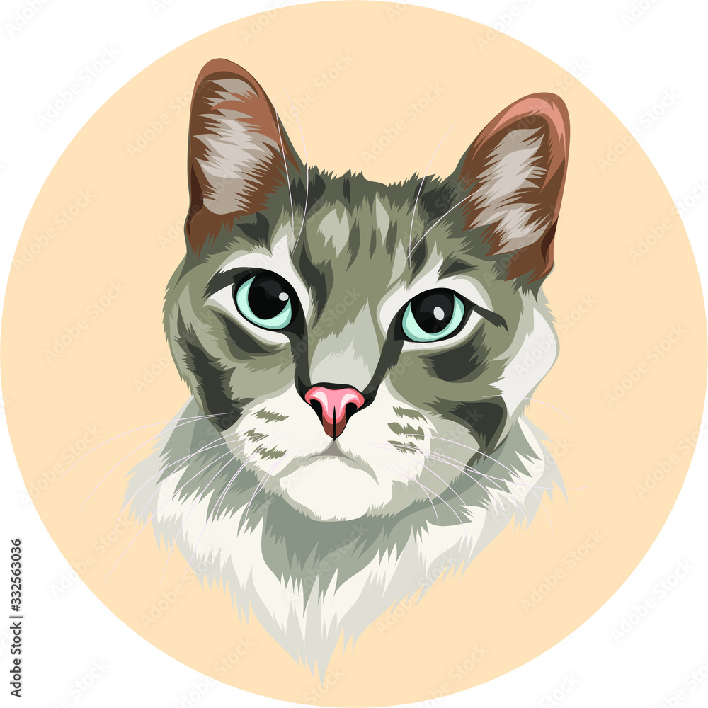 cute grey cat vector cartoon perfect for pet lover or pet business