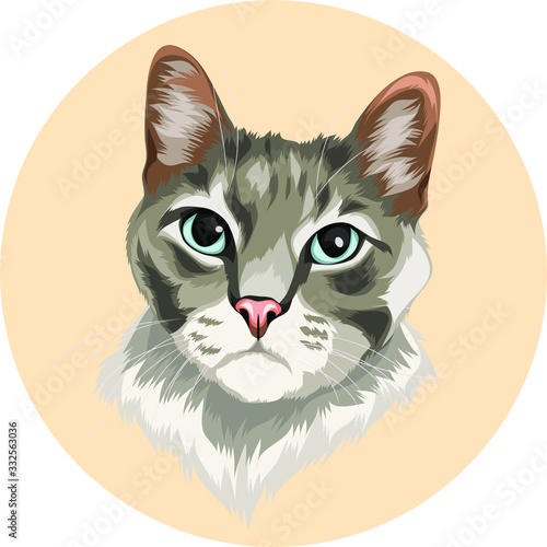 cute grey cat vector cartoon perfect for pet lover or pet business