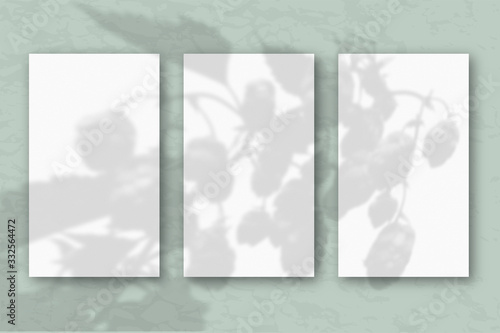3 vertical sheets of white textured paper on a pastel green blue wall background. Mockup with an overlay of plant shadows. Natural light casts a shadow from the top of the field plants and flowers