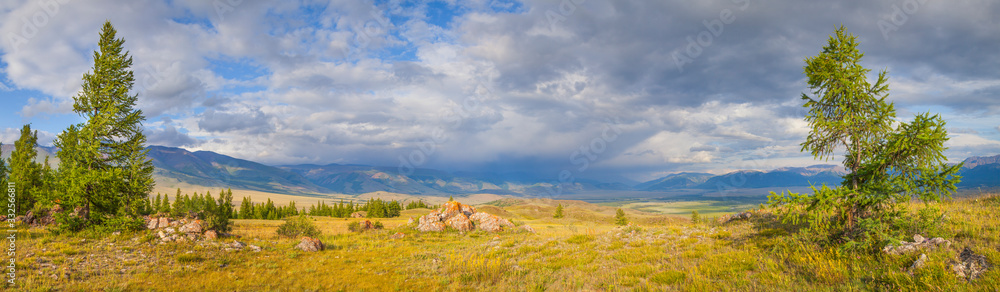 Mountain steppe, tree. Cloudy weather. Summer travel. Panoramic view.