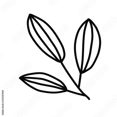 Twig. Blade of grass. Vector illustration on a white background. © Катя Гурьева