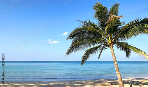 Beach and palm trees on the island of Phuket in Thailand