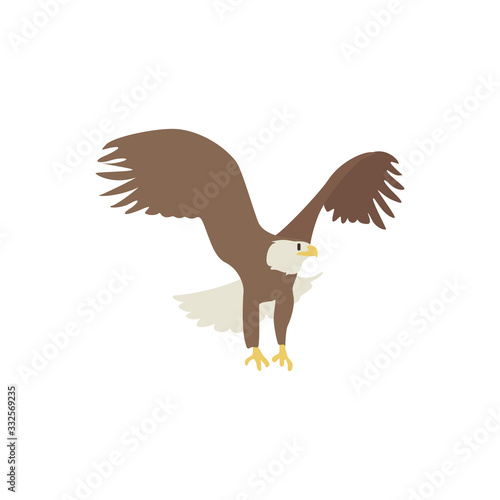 eagle icon vector illustration. Cartoon style bird, isolated on a white background