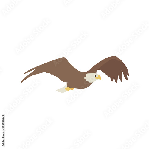 eagle icon vector illustration. Cartoon style bird, isolated on a white background