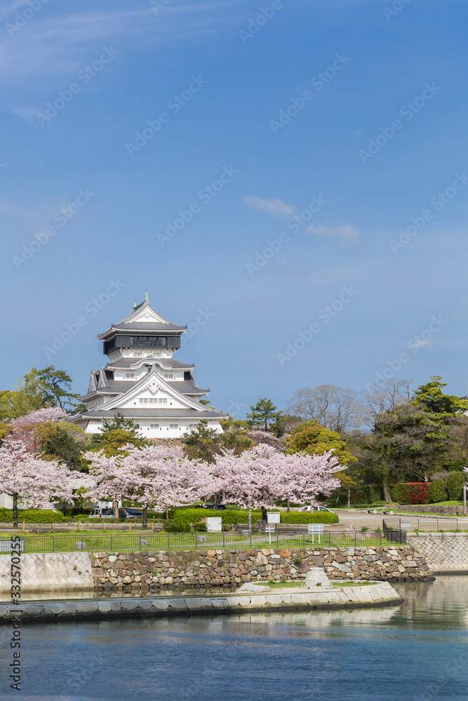 小倉城天守閣と桜