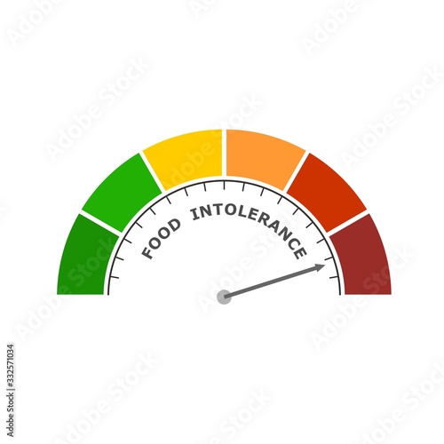 Food intolerance measuring device icon. Sign tachometer, speedometer, indicators. Infographic gauge element.