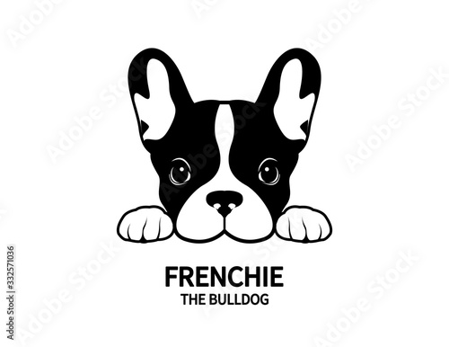 Adorable French Bulldog waiting for his snacks. Cute Frenchie with bunny ears in black & white logo. photo