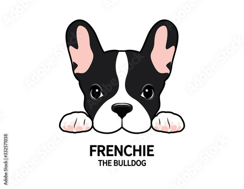 Adorable French Bulldog waiting for his snacks. Cute Frenchie with bunny ears.