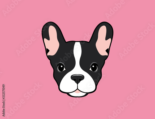 Cute French Bulldog Face Portrait on Pink Background.