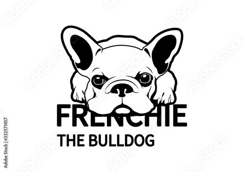 Little Frenchie lay down on the floor and waiting for something, designing with flat color style black & White tone. Good use for sticker.