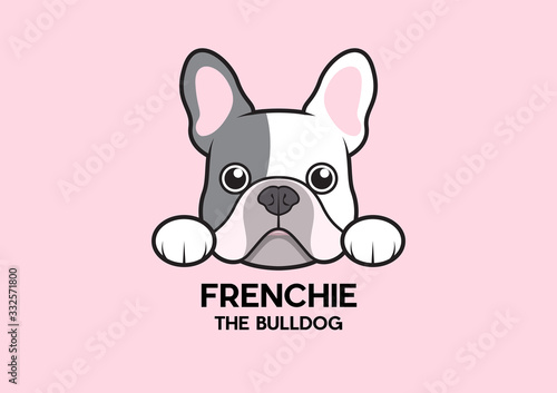 A cute little frenchie is stick to the edge of the table and waiting for some foods. The blue pied French Bulldog Logo. This is Frenchie Series in portrait photo style.